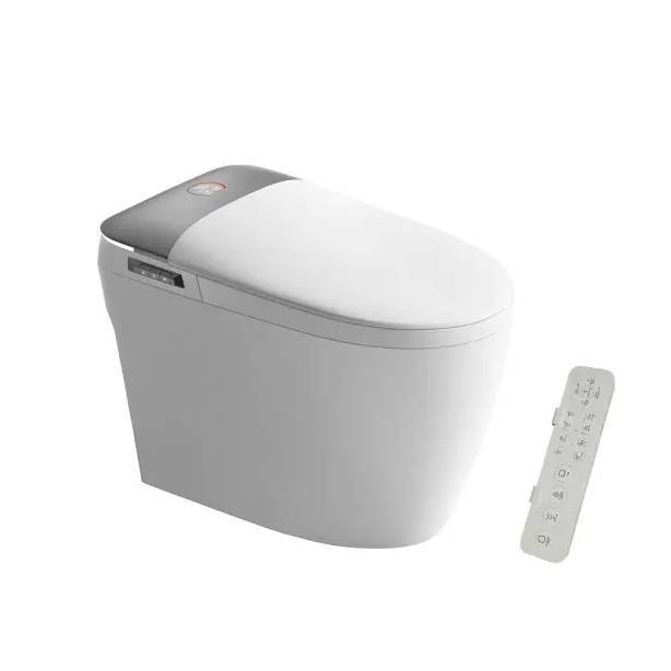 Унитаз приставной Cerutti Spa Ersilia CT10616 Smart