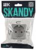 Розетка 1-местная с заземлением IEK Skandy SK-R11-16-K23 серебряный фото 6