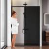 Душевая дверь в нишу AM.PM Gem Solo W90G-140-1-195BG 140 см фото 3