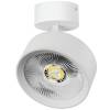 Накладной светодиодный спот Lightstar Alta Pro A5736SO