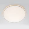 Светильник с пультом Citilux Norma CL749500 LED RGB фото 2