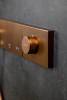 Душевой комплект Boheme Zodiac 132-BRB трехпозиционная, Brushed Bronze фото 5