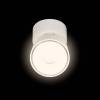 Спот Loft It Focus 10323/A White фото 4