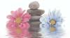 Декор Ceradim Stones КВС16Stones2 Dec 2 25x45