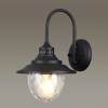Уличный настенный светильник Odeon Light Nature Kalpi 4836/1W фото 2
