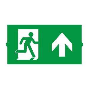 Пиктограмма Arlight Emergency 46669
