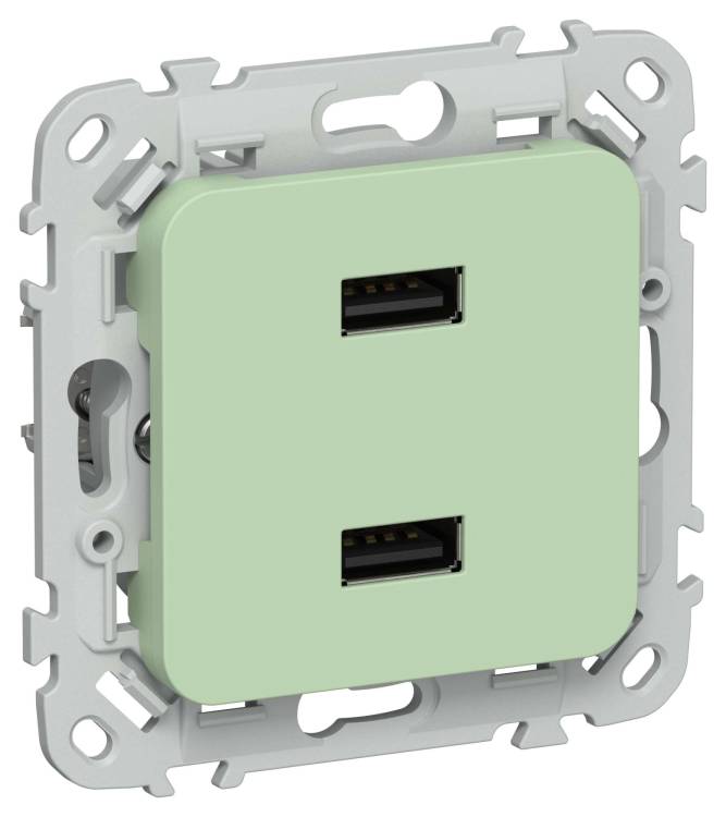 Розетка USB type A+A IEK Flite FI-U21-D31-K93 фисташковый