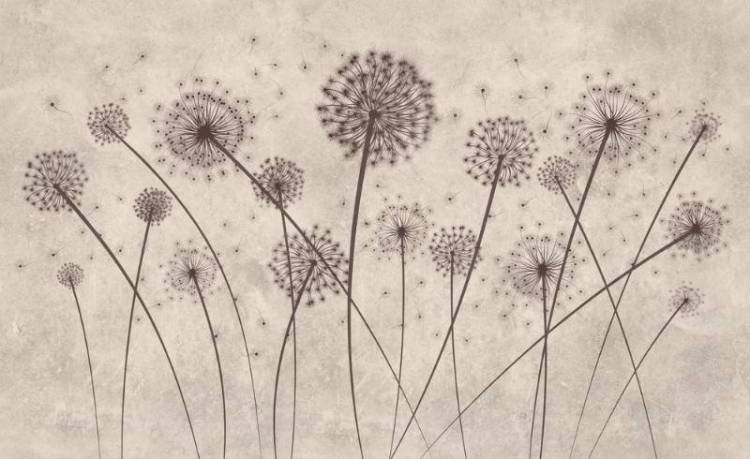 3D Фотообои Artegrafico «Одуванчики на светлой фактуре» PL-041 акварель