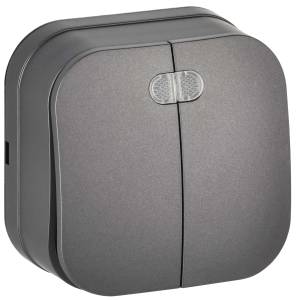 Выключатель 2-клавишный IEK Glory EVH21-K46M-10 сталь матовый