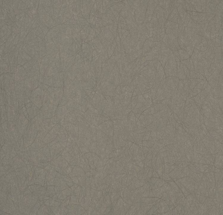 Обои флизелиновые Bernardo Bartalucci Legend 5068-7