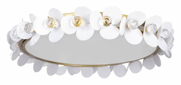 Накладной светильник Loft IT Bride 10176