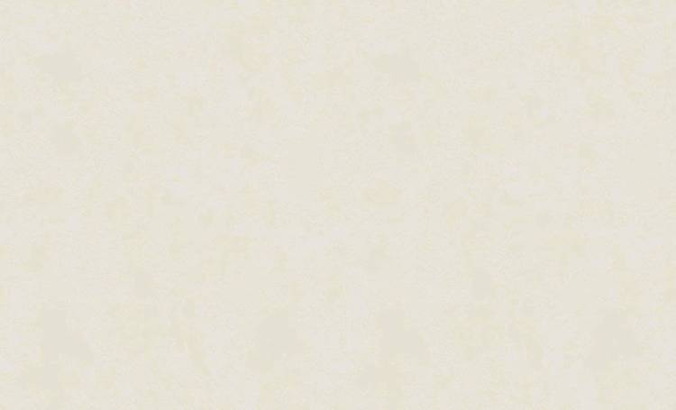 Обои флизелиновые Erismann Tessa 60330-03