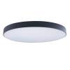 Потолочный светодиодный светильник Loft IT Axel 10002/48 black