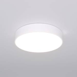 Потолочный светодиодный светильник Eurosvet Entire 90319/1 белый