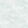 Обои бумажные Aura Equinox FD25711