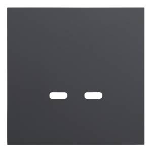 Лицевая панель для розетки USB C/C Rikett 35675 MB черный сатин