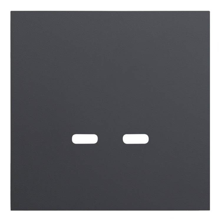 Лицевая панель для розетки USB C/C Rikett 35675 MB черный сатин