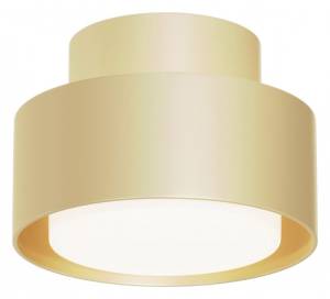 Потолочный светильник Maytoni Technical Space C092CL-GX53-MG