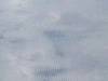 Обои Baoqili BX-6 BX-6-91341-9