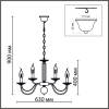 Подвесная люстра Lumion Classi Incanto 8033/10 фото 2
