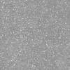 Керамогранит Beryoza Ceramica Aydon GPR серый 60x60
