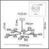 Подвесная люстра Lumion Comfi Torina 8117/18 фото 2