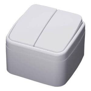Выключатель двухклавишный Feron Stekker Basic 39032