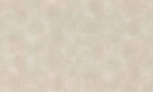Обои виниловые Rasch Tendencia 975215