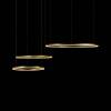 Подвесной светодиодный светильник Loft IT Ring 10017/3S фото 3