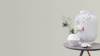 Обои флизелиновые Rasch Color Your Life 810172 фото 3