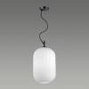 Подвесной светильник Odeon Light Pendant Roofi 4752/1 фото 3