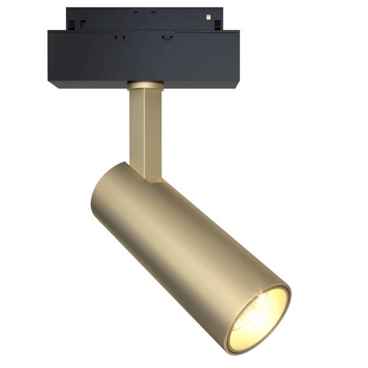 Трековый светильник Technical Focus LED TR019-2-10W3K-MG