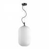 Подвесной светильник Odeon Light Pendant Roofi 4752/1
