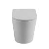 Унитаз приставной BelBagno Flay-r BB1003CBR/SC, с сиденьем фото 5