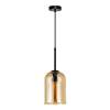 Подвесной светильник Arte Lamp Paio A7015SP-1BK