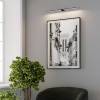 Подсветка для картин светодиодная Elektrostandard Luar 40153/LED 4000K черный жемчуг фото 2