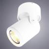 Спот Arte Lamp A3316PL-1WH фото 2