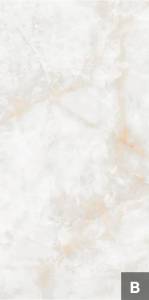 Керамогранит NT Ceramic Atlas Wide NTT3019P (B) Li Susu Dragon 120x240