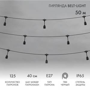 Светодиодная гирлянда Neon-Night Belt-Light 331-241