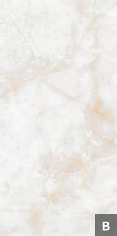 Керамогранит NT Ceramic Atlas Wide NTT3019P (B) Li Susu Dragon 120x240