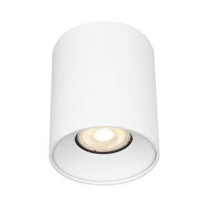 Светильник потолочный ST Luce ST167.502.01