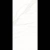 Керамогранит Рlanet Сeramics 12005 60x120