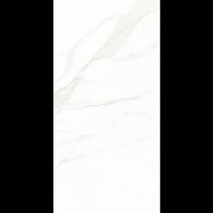 Керамогранит Рlanet Сeramics 12005 60x120