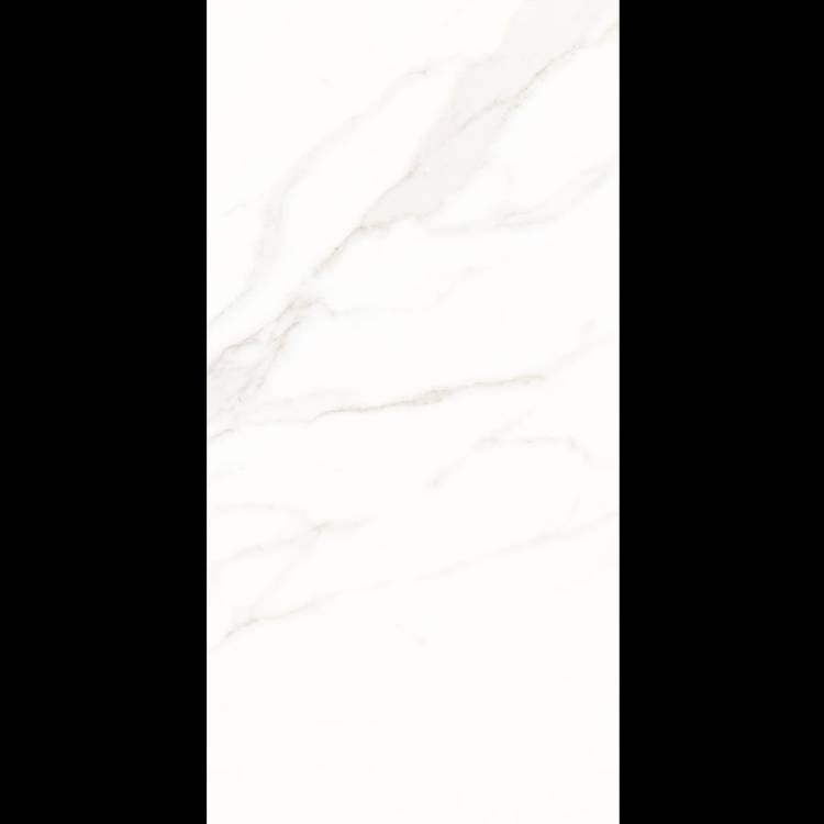 Керамогранит Рlanet Сeramics 12005 60x120