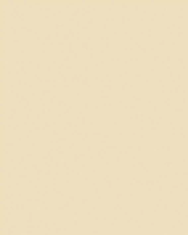 Обои Wiganford All Time Trend Art WG0232