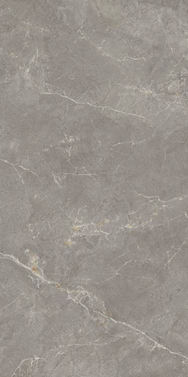 Керамогранит Kerama Marazzi Бриансон KM8016G0281R серый матовый обрезной 80x160