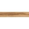 Керамогранит Absolut Gres Wildwood AB 1163W Ocher 20x120