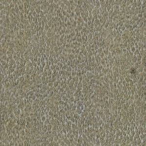 Обои флизелиновые Roberto Cavalli Roberto Cavalli Home 6 17086RC