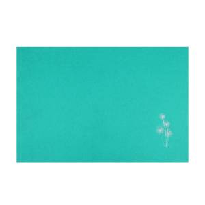 Плейсмат Eglo Lakandava 420152 бирюзовый 30x45