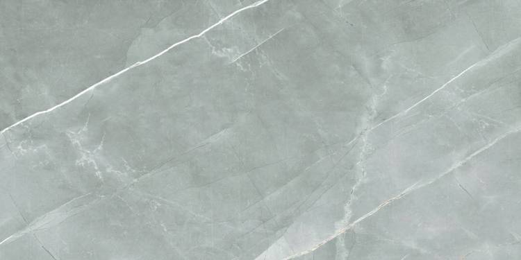 Керамогранит Royce R_PR2019 William Grey Polished 60x120